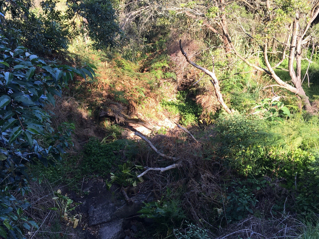 Lower Sweetwater Creek Reserve景点图片
