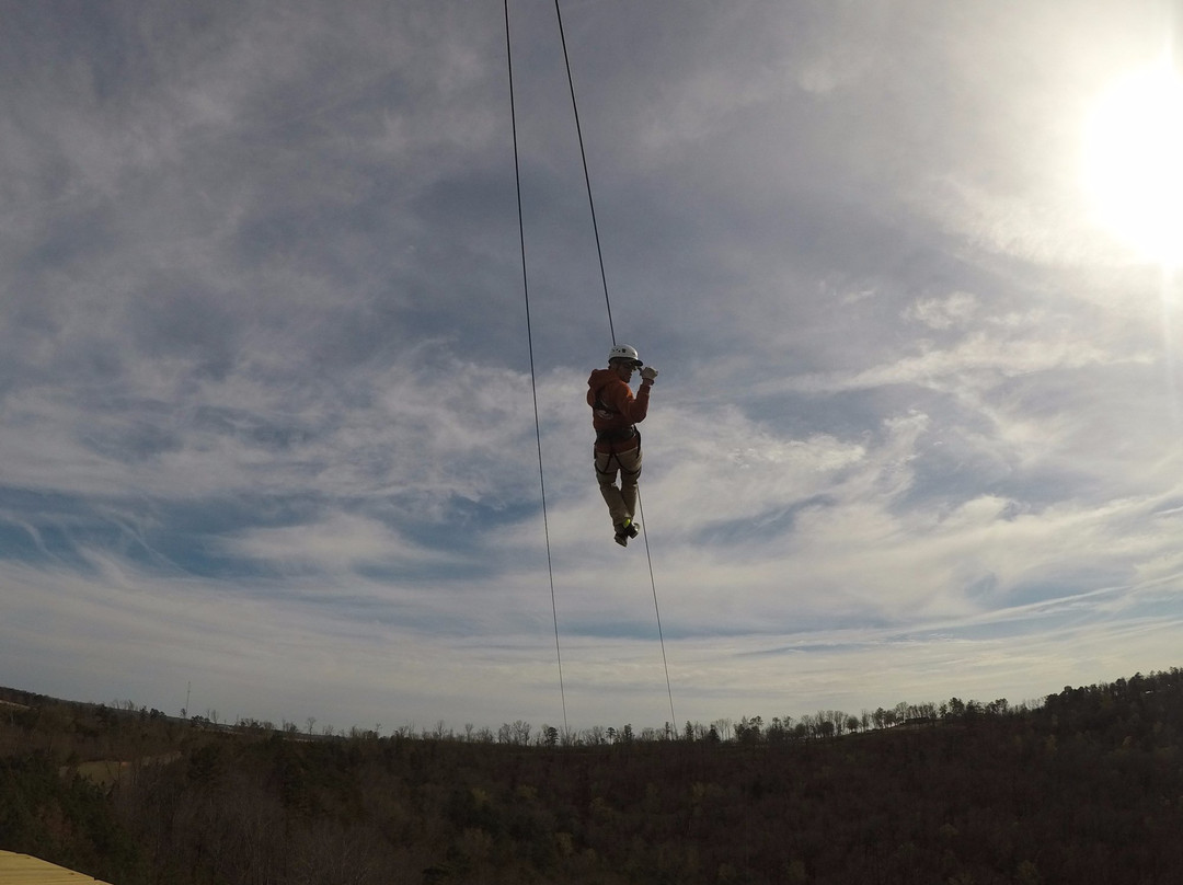Screaming Eagle at Lake Guntersville-Guntersville必去景点