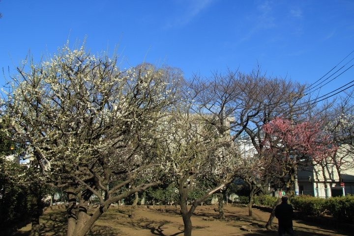 Aburamen Park-目黒区必去景点