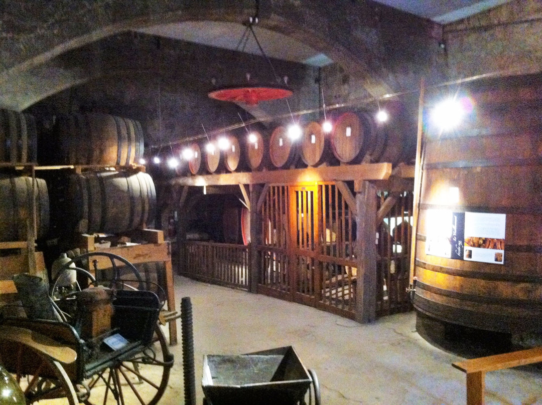 Chateau de Cassaigne景点图片