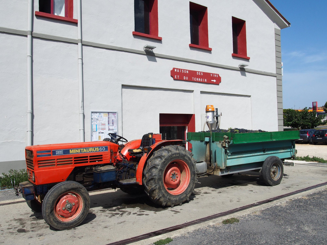 Vignerons Terroirs Terres Romanes-Vinca必去景点