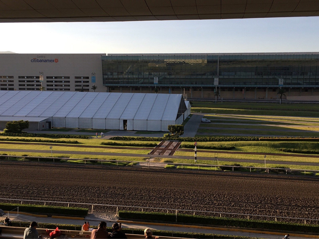 Hipodromo de las Americas景点图片