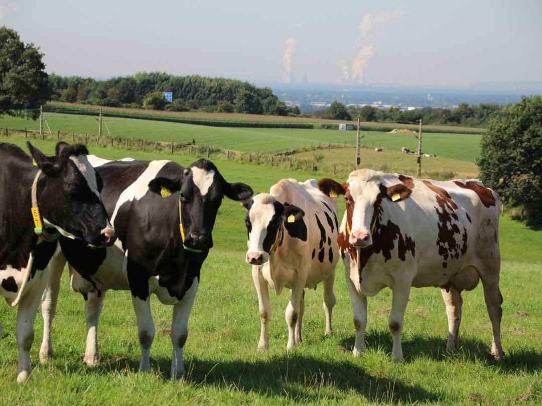 Bauernladen - Gut Ellscheid-Haan必去景点