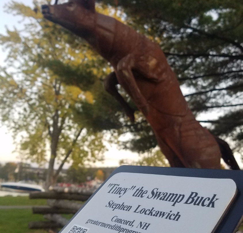 Meredith Marina-梅勒迪斯必去景点