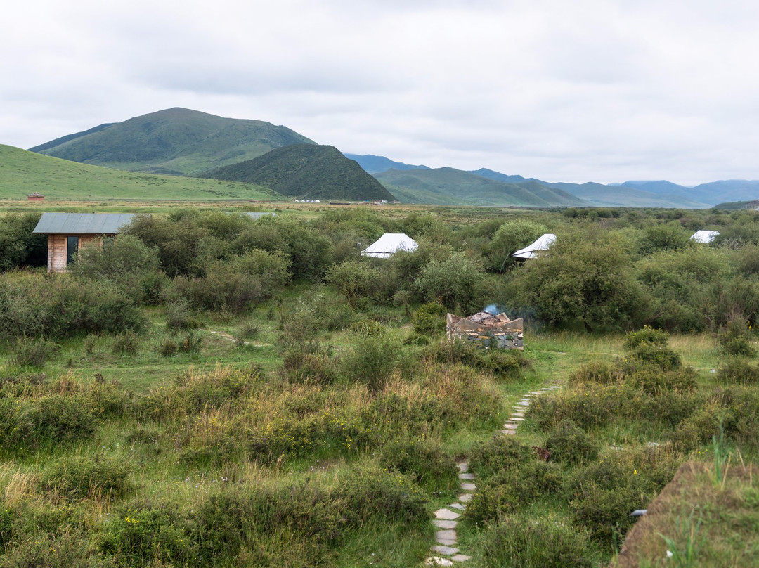 诺尔丹营地主图