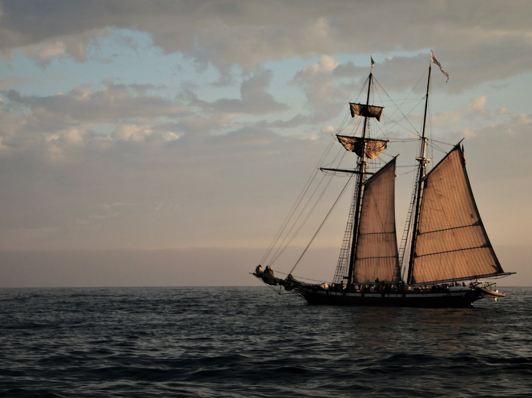 The Pilgrim-德纳角必去景点