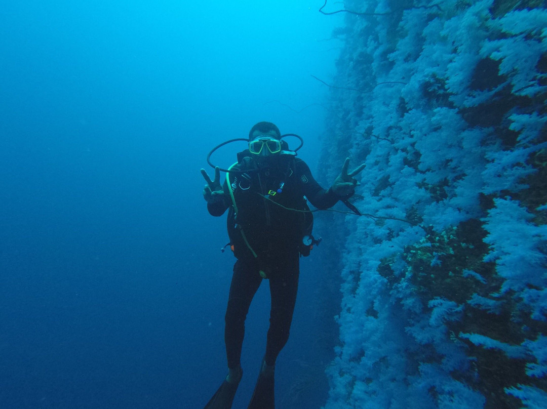 Dive Academy Fiji-Waiyevo必去景点