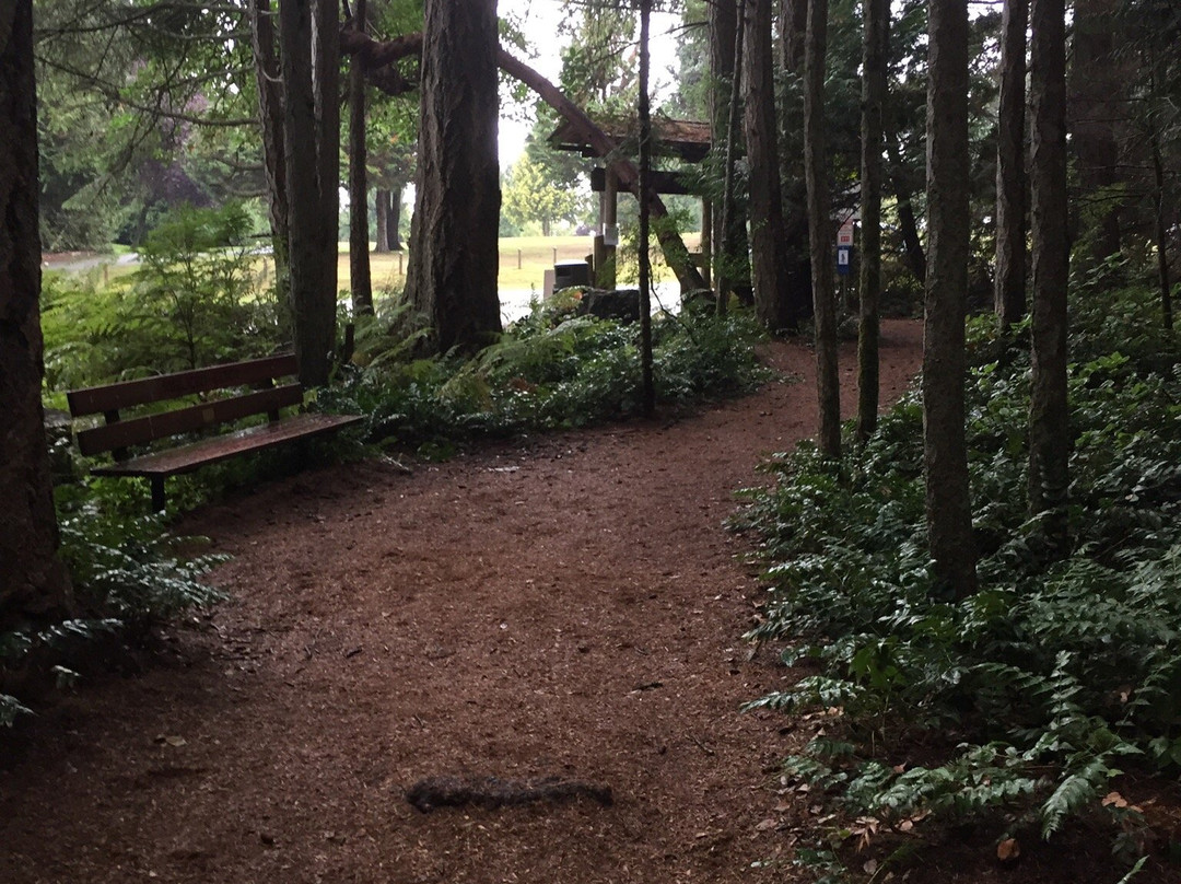 Heritage Forest-魁利克姆海滩必去景点