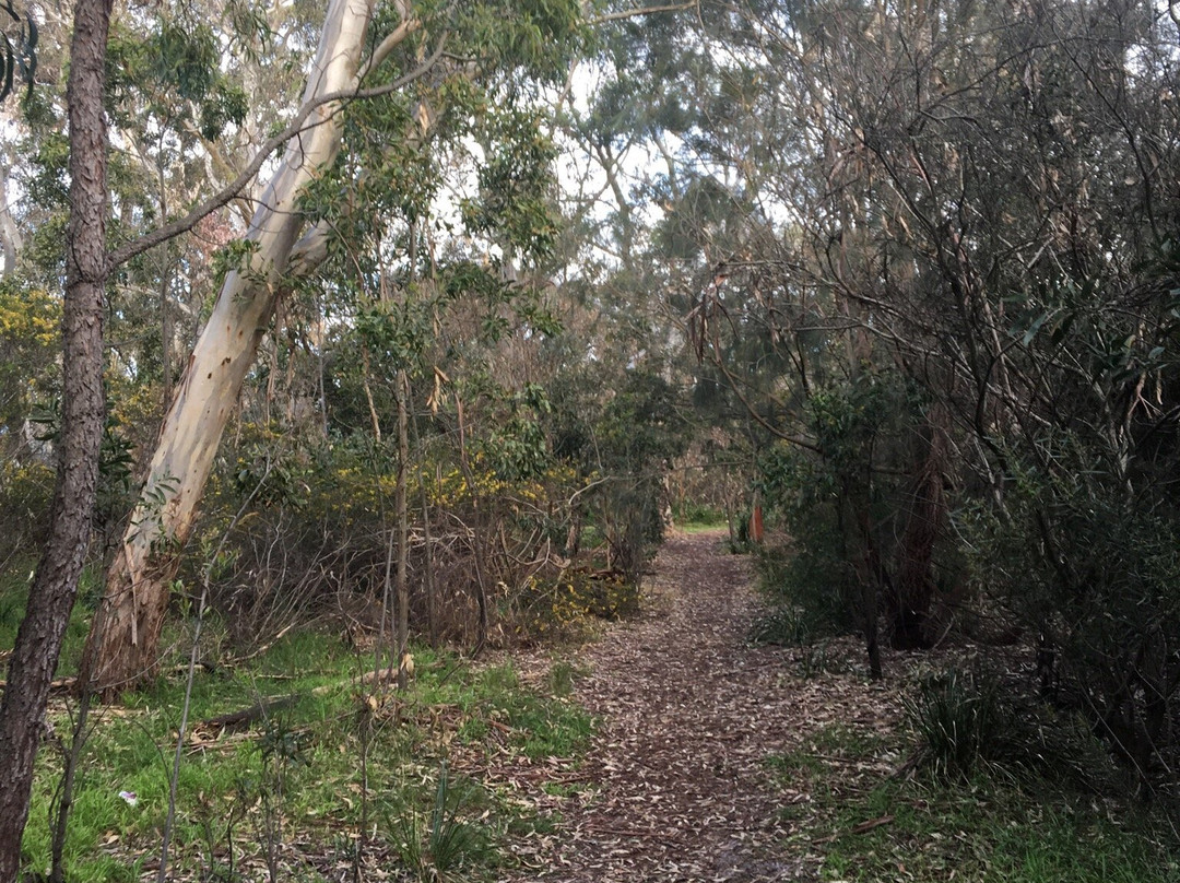 coomoora Woodland Reserve-Keysborough必去景点