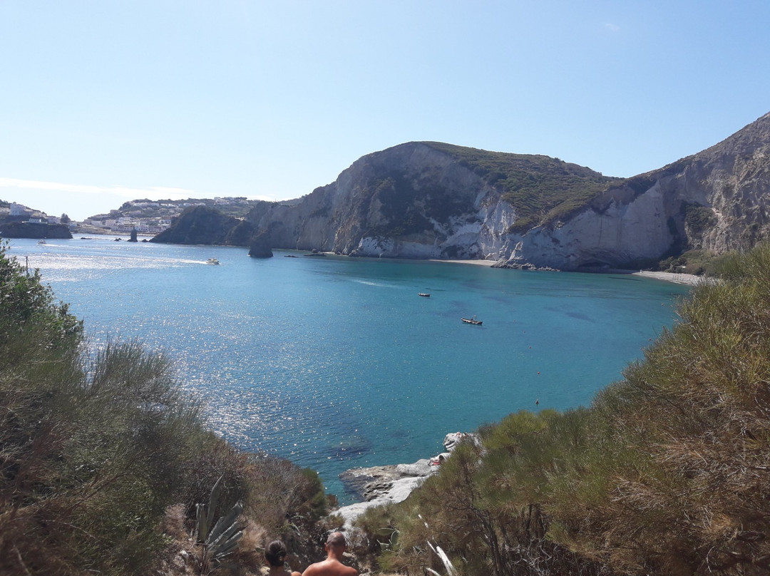 Ponza Island景点图片
