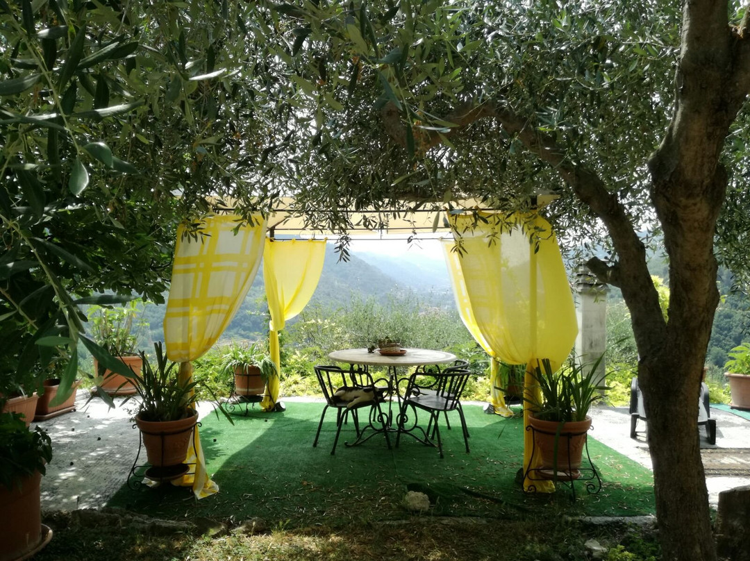 Il Giardino Degli Ulivi