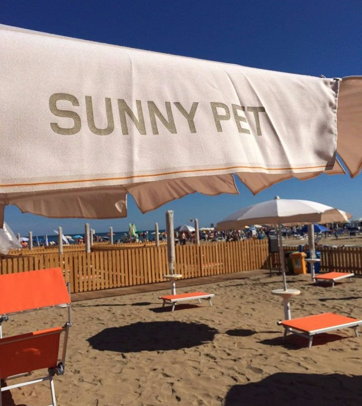 Sunny Pet Ufficio 19景点图片