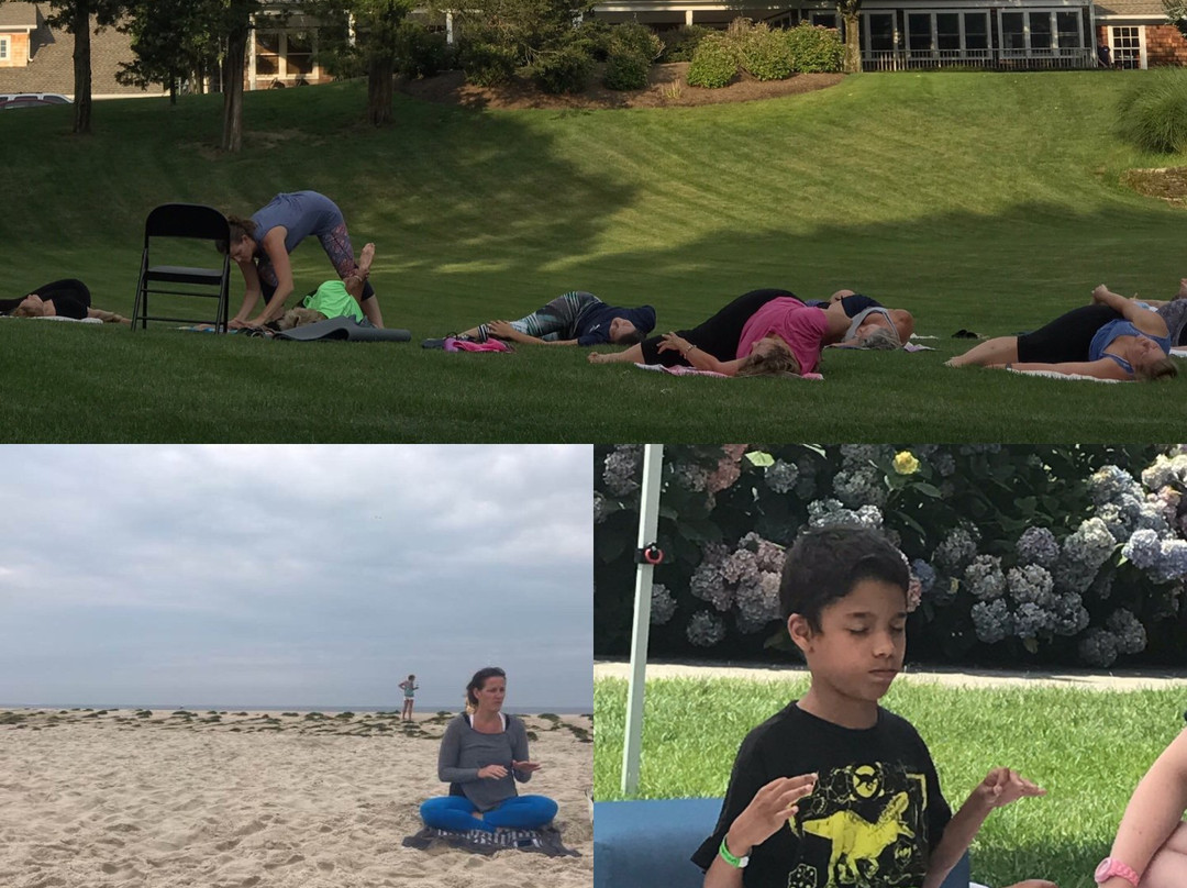 The Yoga House景点图片