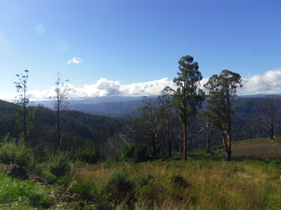 Mount Torbreck景点图片