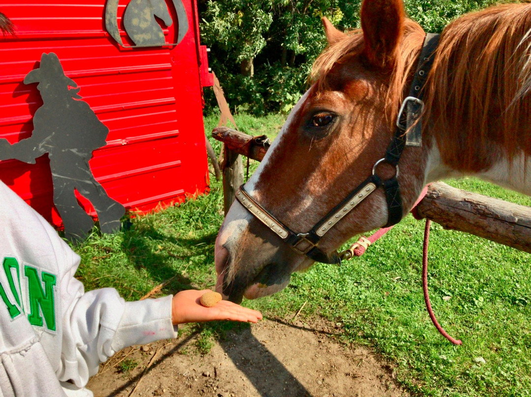 Timberline Ranch-Detroit Lakes必去景点