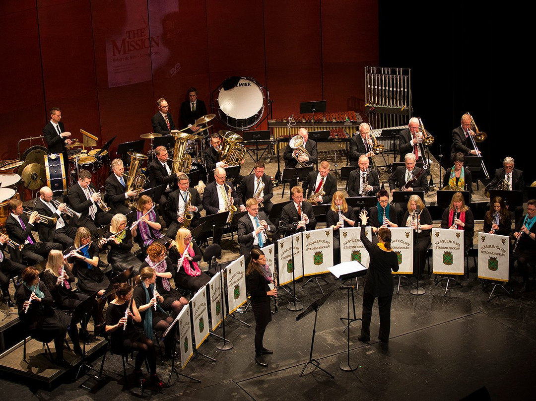 Hässleholm Kulturhus-Hassleholm必去景点
