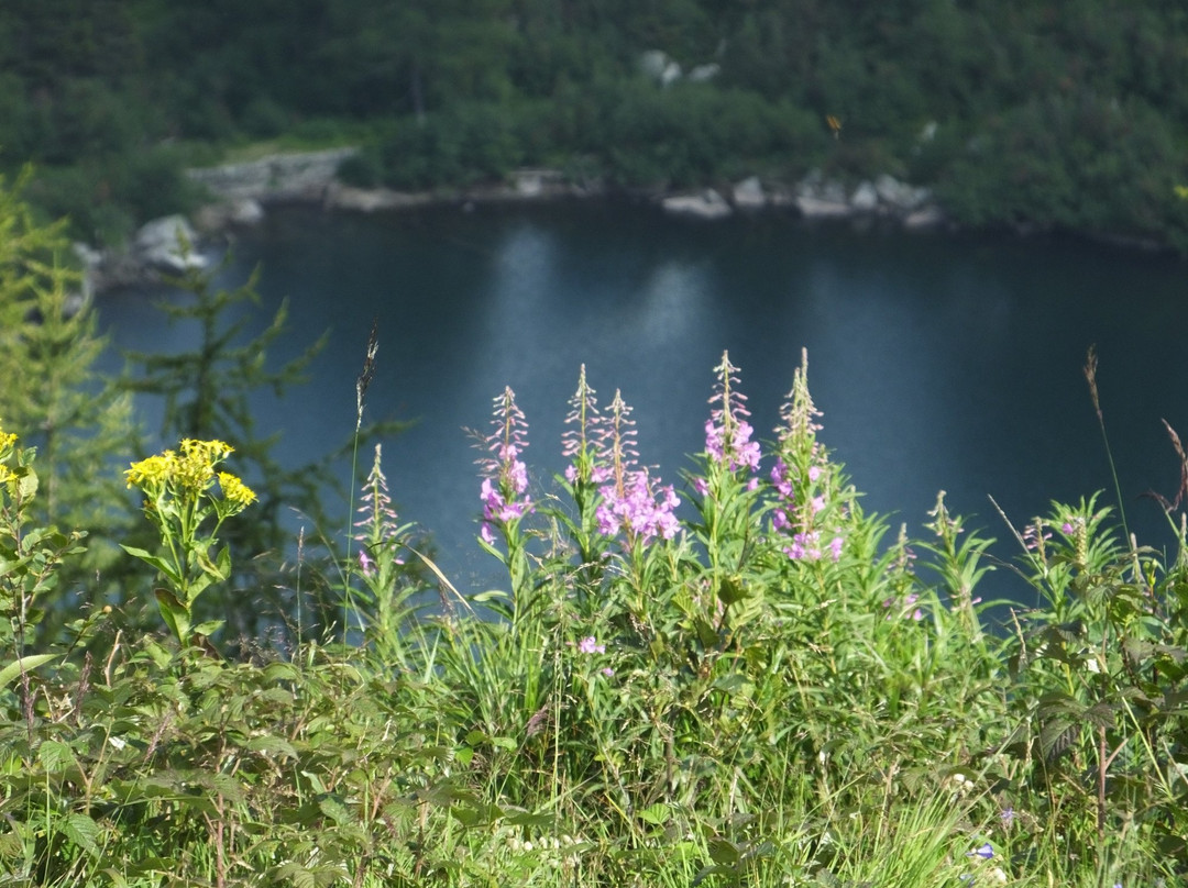 Sentiero Laghi di San Giuliano景点图片