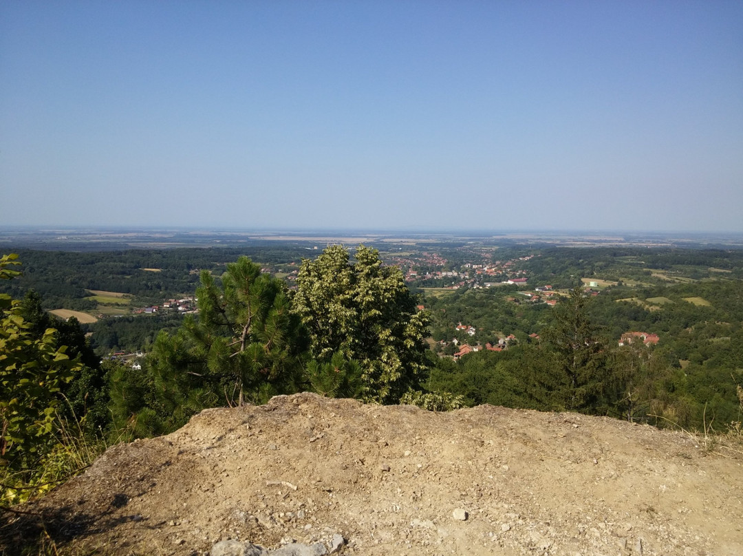 Ruzica Grad景点图片