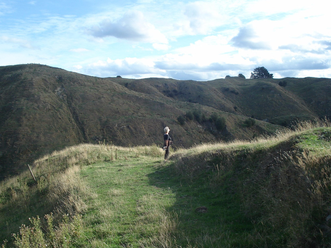 Ridge Top Farm Walk-Feilding必去景点