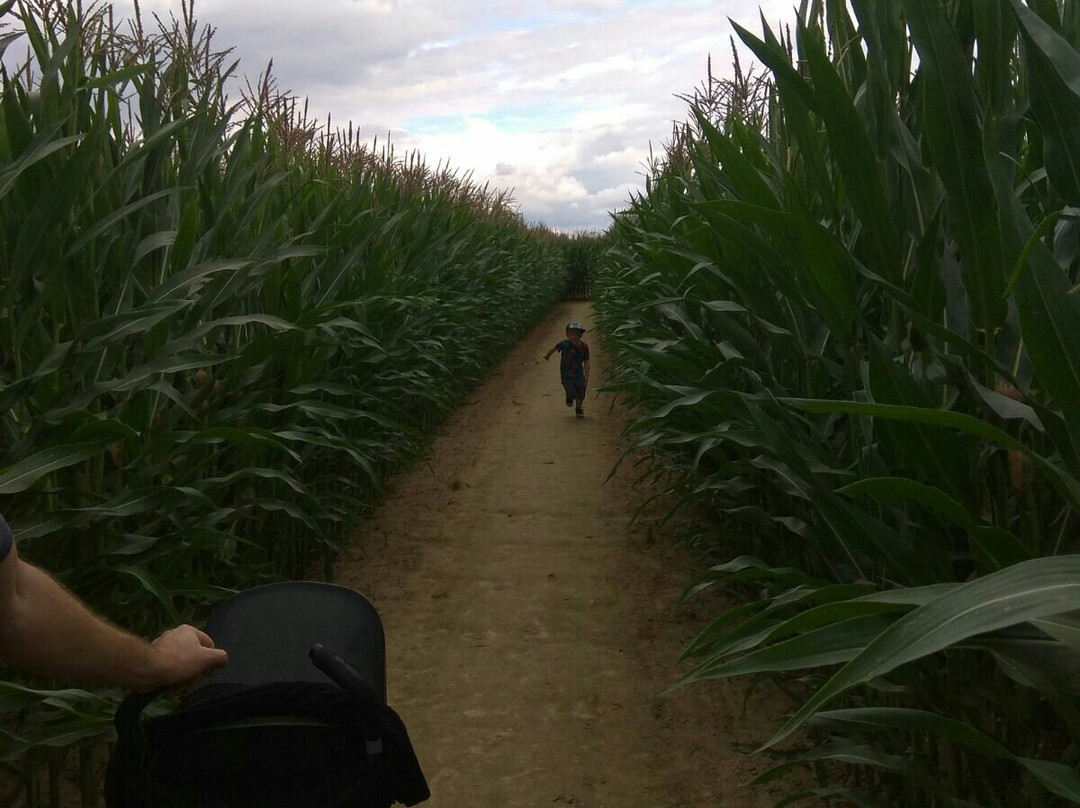 Le Labymais de la Brie-Saint Barthelemy d'Agenais必去景点