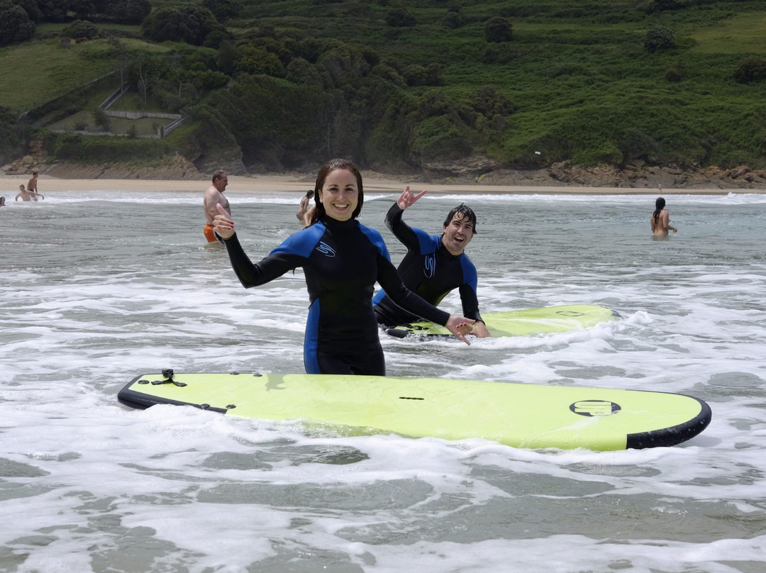 Black Shark Surfhouse - Surfschool景点图片