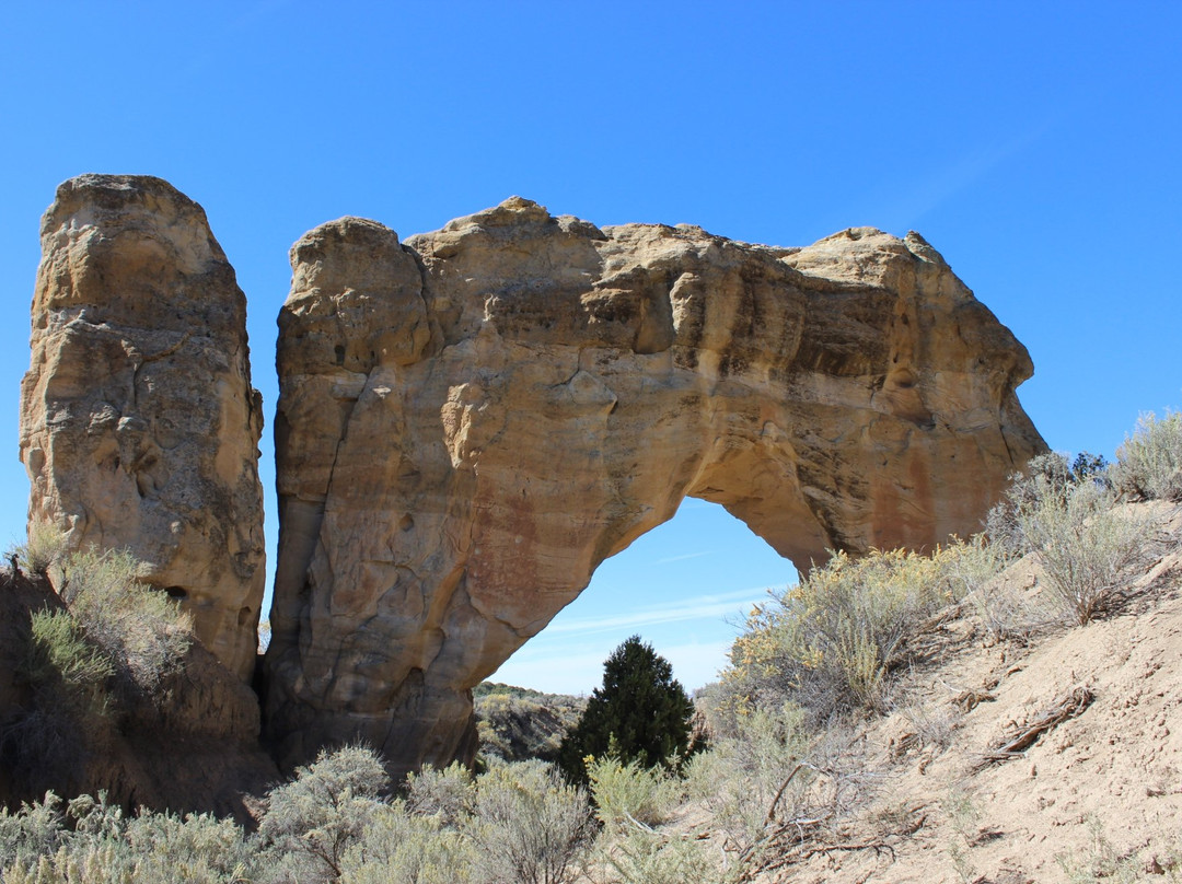 Aztec Sandstone Arches-Aztec必去景点