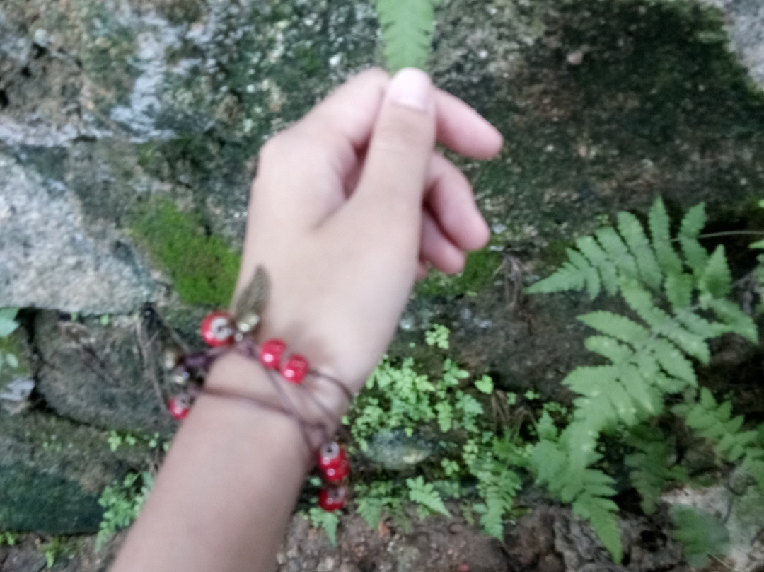 冯子材故居景点图片