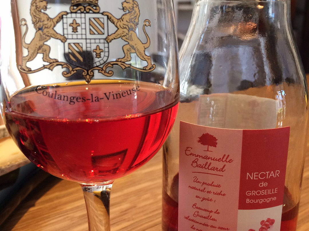 Domaine du Clos du Roi景点图片
