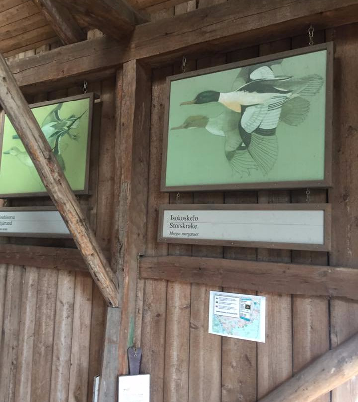 Laajalahti Nature Reserve-埃斯波必去景点