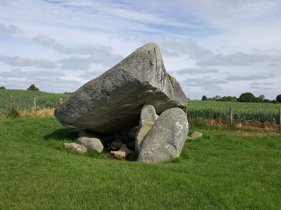 Carlow旅游景点-Brownshill Dolmen