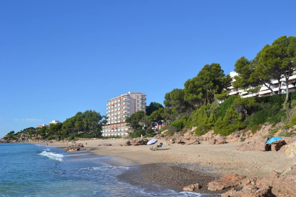 Cala de los Vieneses景点图片