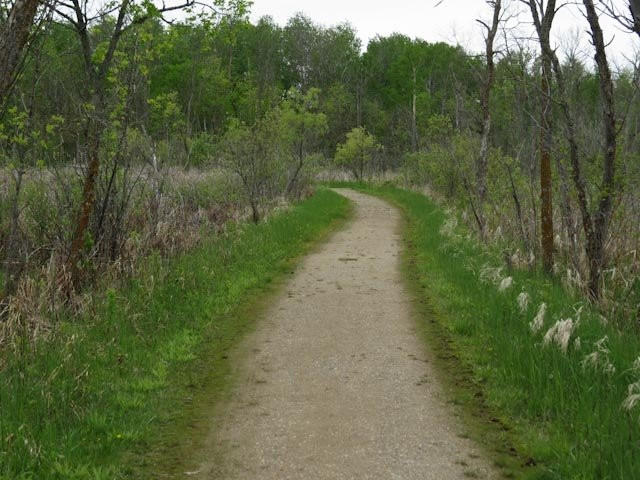 Lake Carlos State Park景点图片