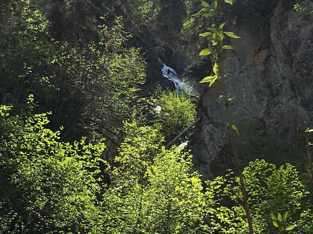 Pioneer Falls-帕尔默必去景点