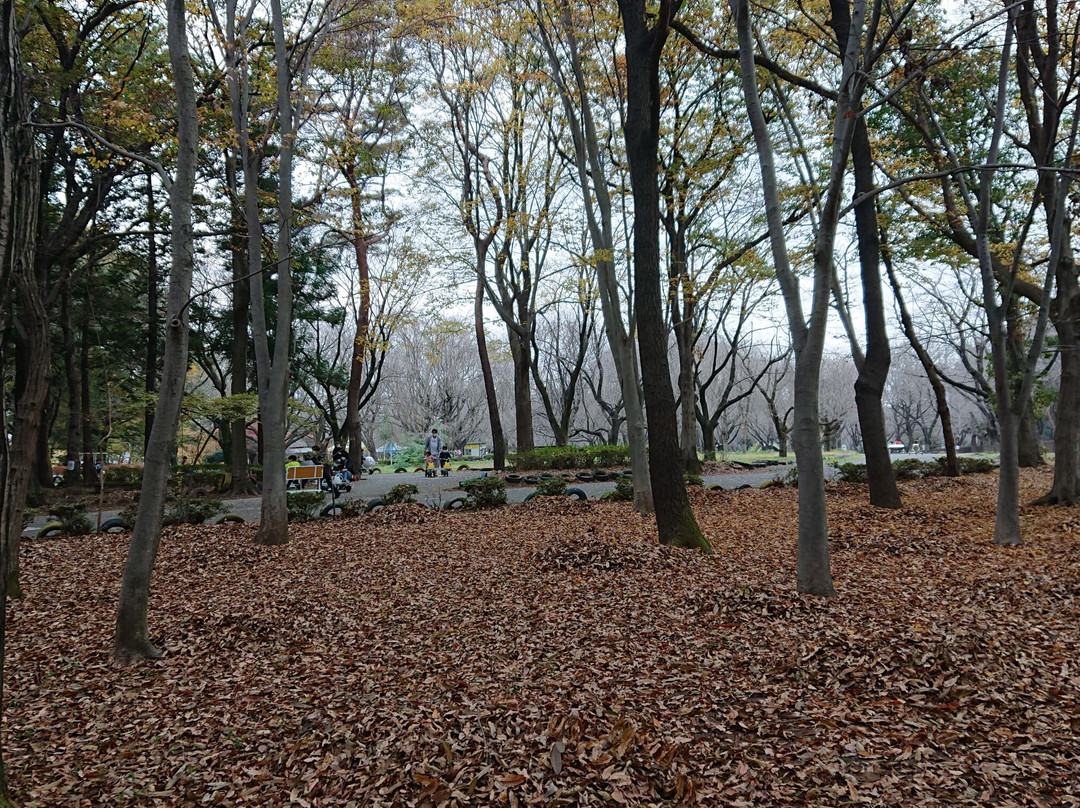 Kawamoto Sun Green Park景点图片