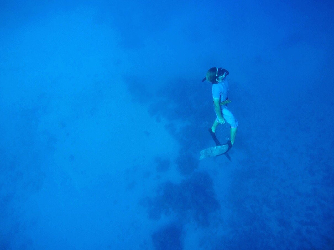 Ha'apai Divers At Matafonua Lodge Resort景点图片