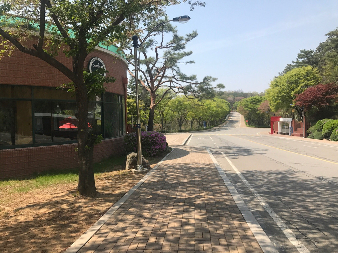 Chungang University Museum-安城市必去景点