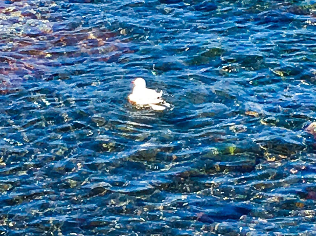 Coco Chai Day Spa Kiama-凯马必去景点