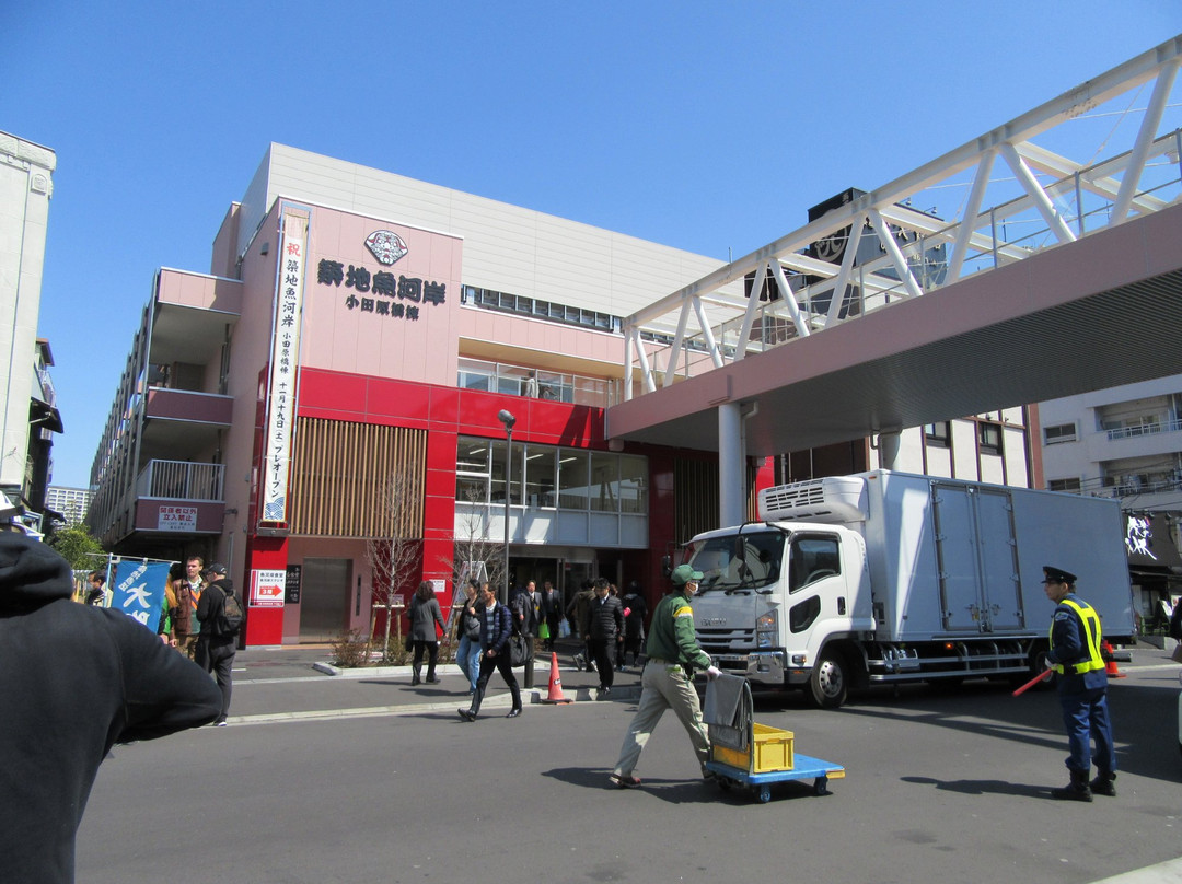 Tsukiji Fish Market-Tsukiji必去景点