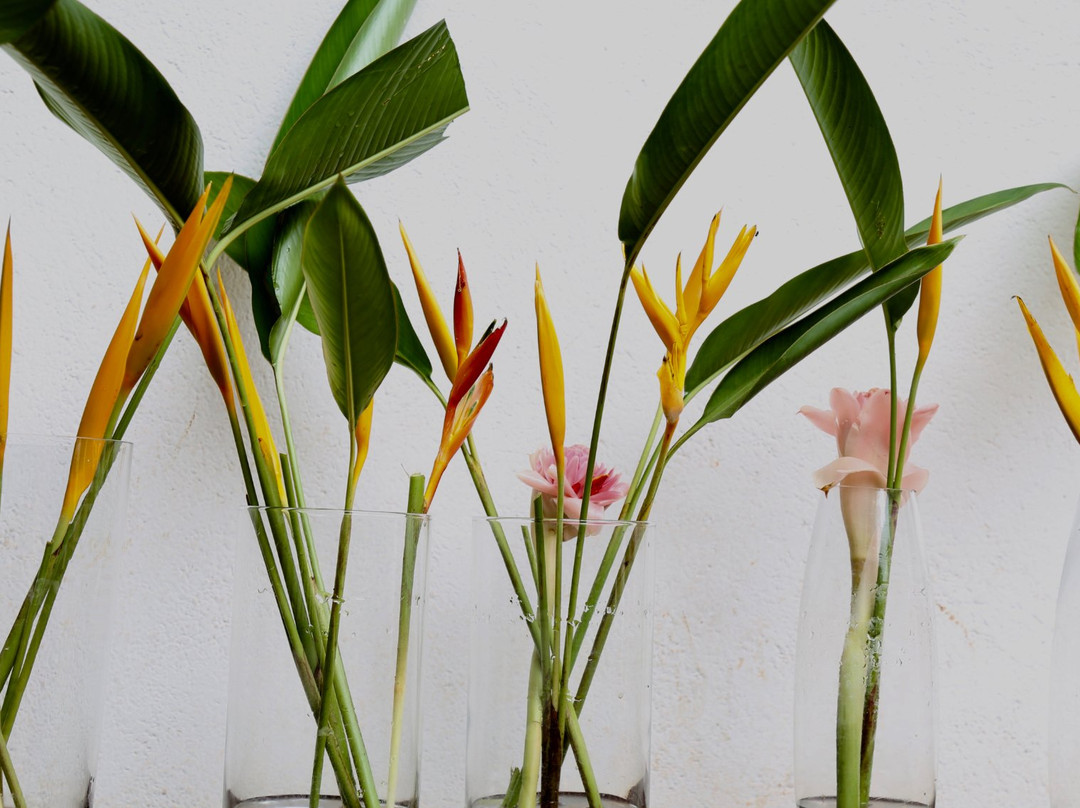 Karakandji Boutique Hotel主图