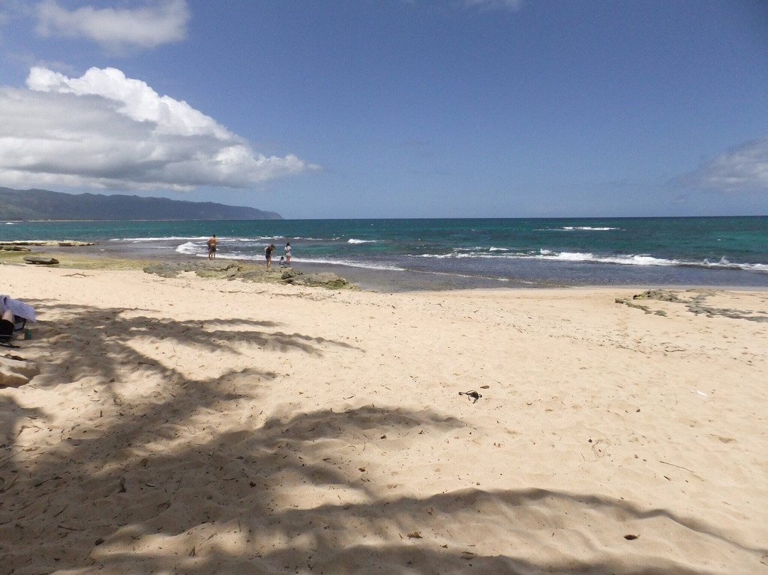 Lost Survivors Beach Camp-哈雷瓦必去景点
