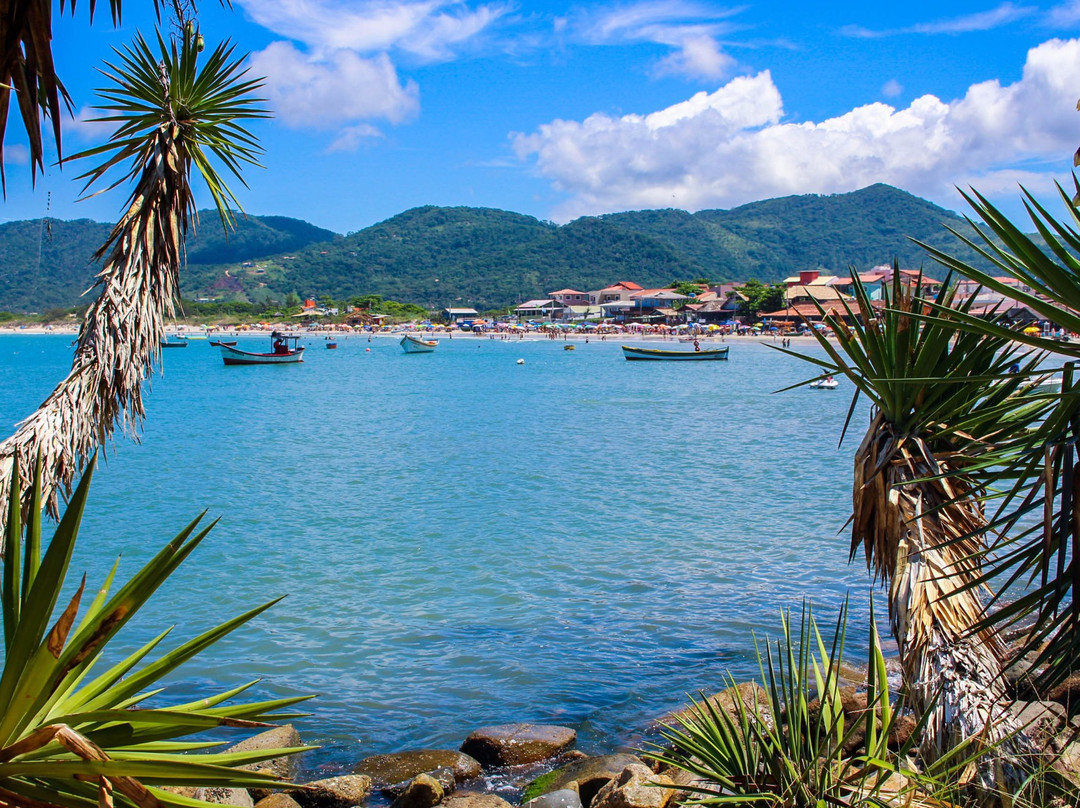 Praia Pântano do Sul景点图片