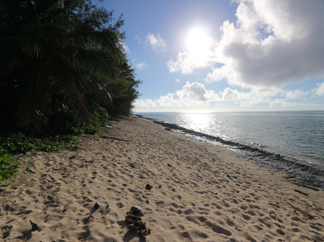 Tikioki Marine Reserve-拉罗汤加必去景点