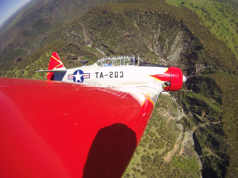 Fleet Helicopters-阿米代尔必去景点