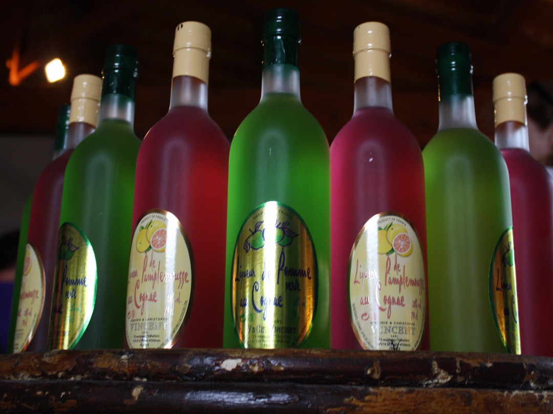 Vignoble Vincent景点图片