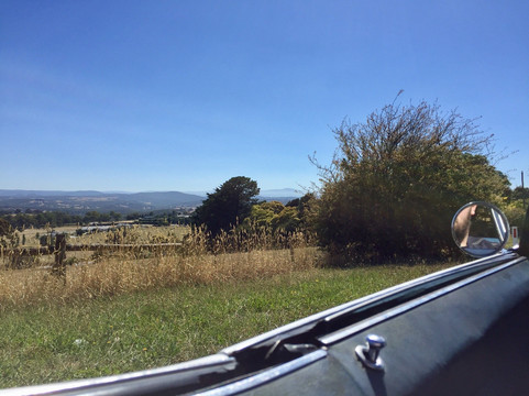 Top Down Tours-墨尔本必去景点