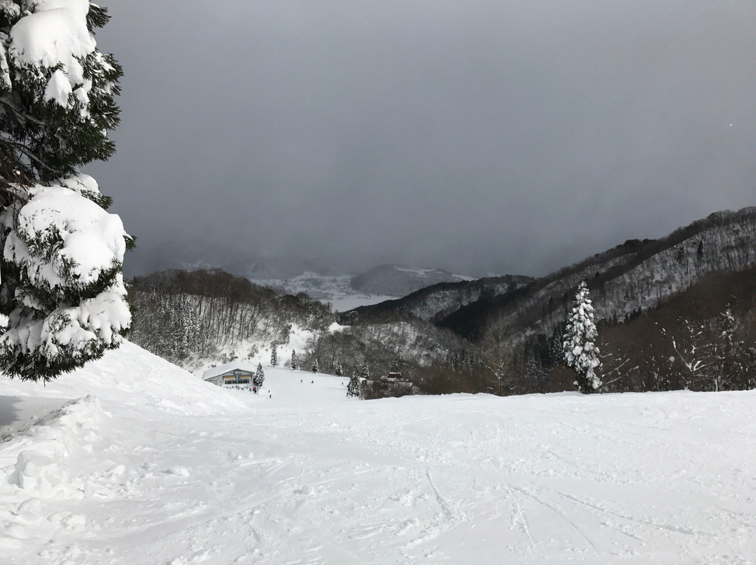 Okukannabe Ski Area-丰冈市必去景点