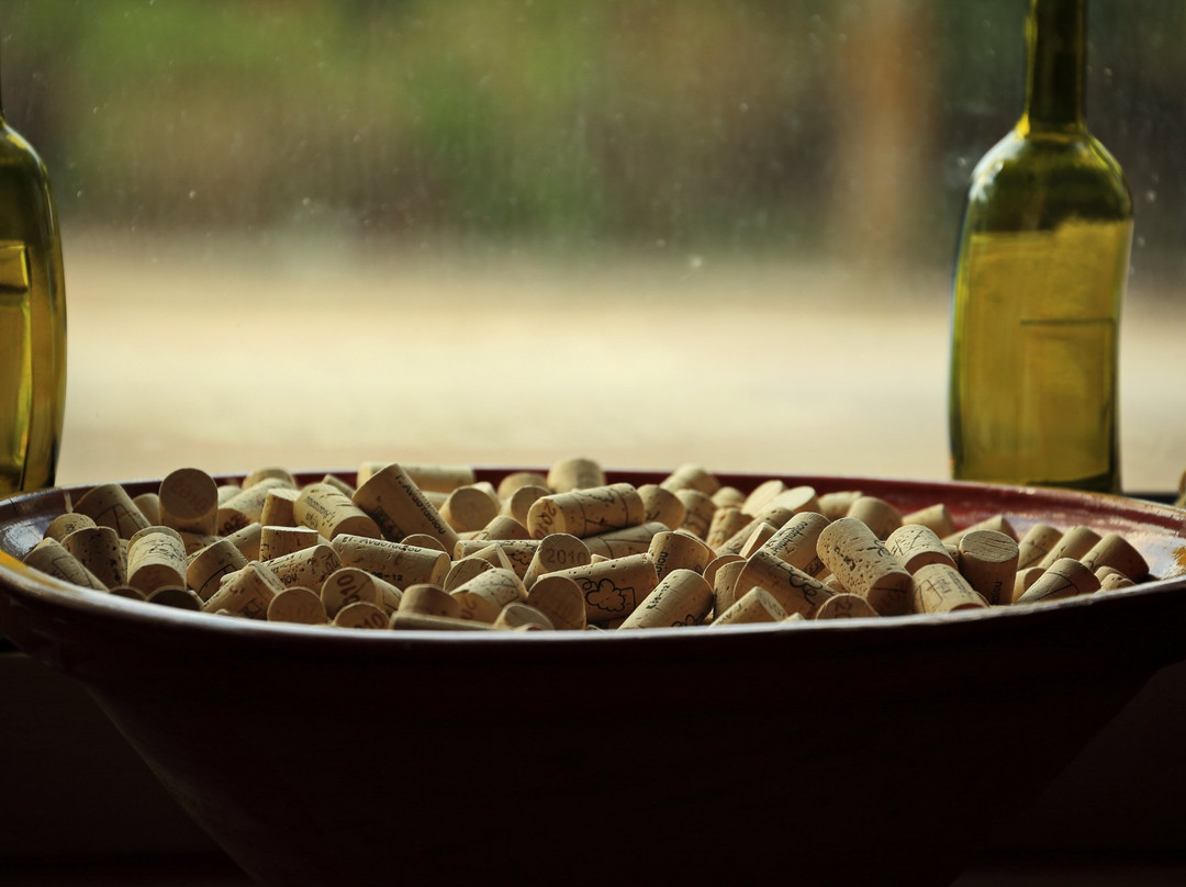 Estate G. Anastasiou-Nemea必去景点