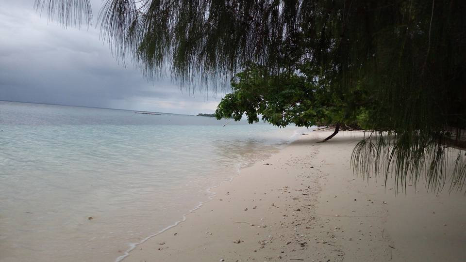Dodola Island景点图片