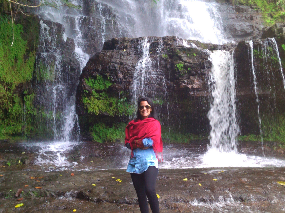 Cascada La Palmita景点图片