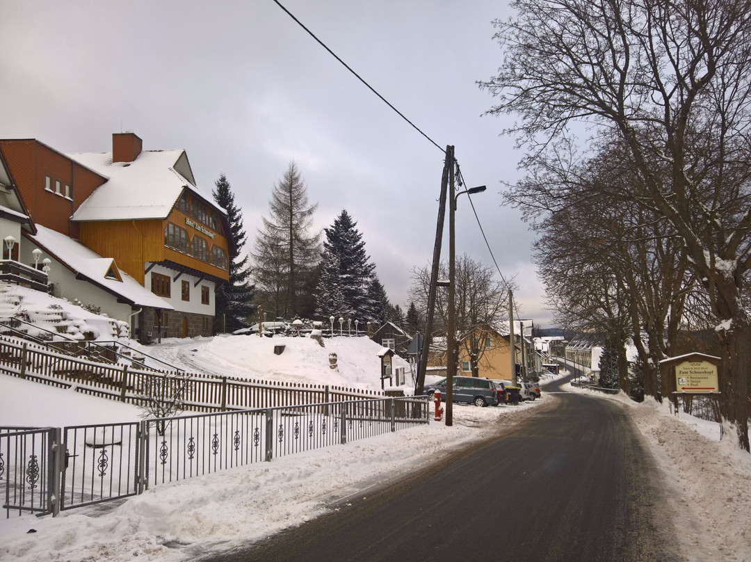 Hotel Zum Schneekopf主图